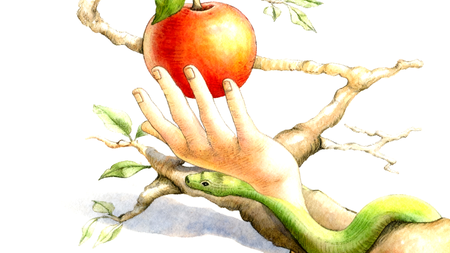 Forbidden Fruit2025-11-13T07:13:22.710Z"